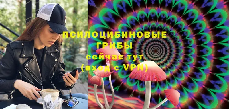 Псилоцибиновые грибы Magic Shrooms  где купить наркоту  Лихославль 